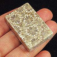95ct-100-natural-chrysanthemum-jade-coral-fossil-pendant-sjh580_372470975952-kl-1 95ct-100-natural-chrysanthemum-jade-coral-fossil-pendant-sjh580_372470975952-kl-1